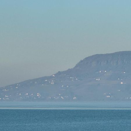 Balaton A Kertben - Balaton In The Garden - Beachfront Houses With Beautiful View, Private Beach Balatonfenyves Extérieur photo